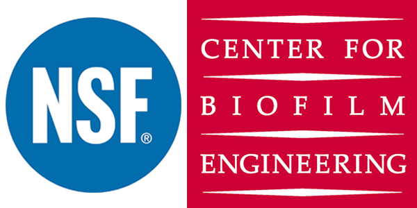 nsf-and-center-for-biofilm