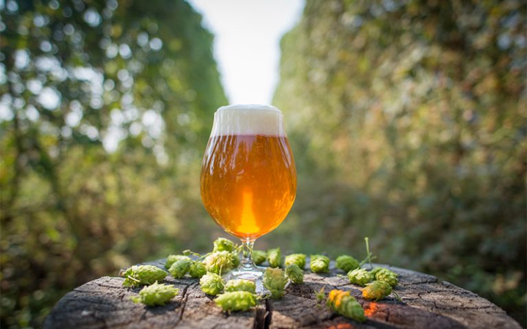 hops slider