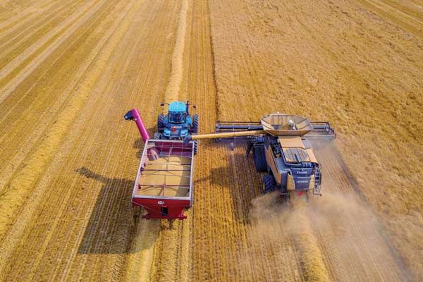 NDtnb17 NABarley 600x400