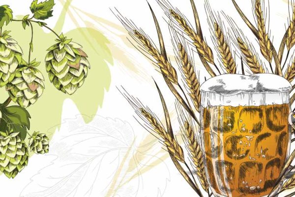 The New Brewer World Barley and Hop Harvests