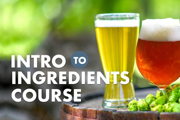 Intro to Ingredients Course title next to glasses of beer on a barrel with fresh hops
