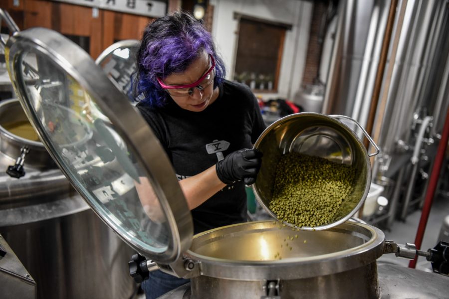 brewer adding hops to a kettle