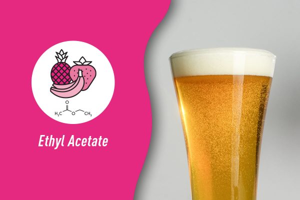 ethyl acetate icon and formula with crisp beer