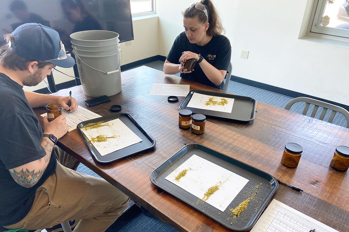 People evaluating and selecting hops