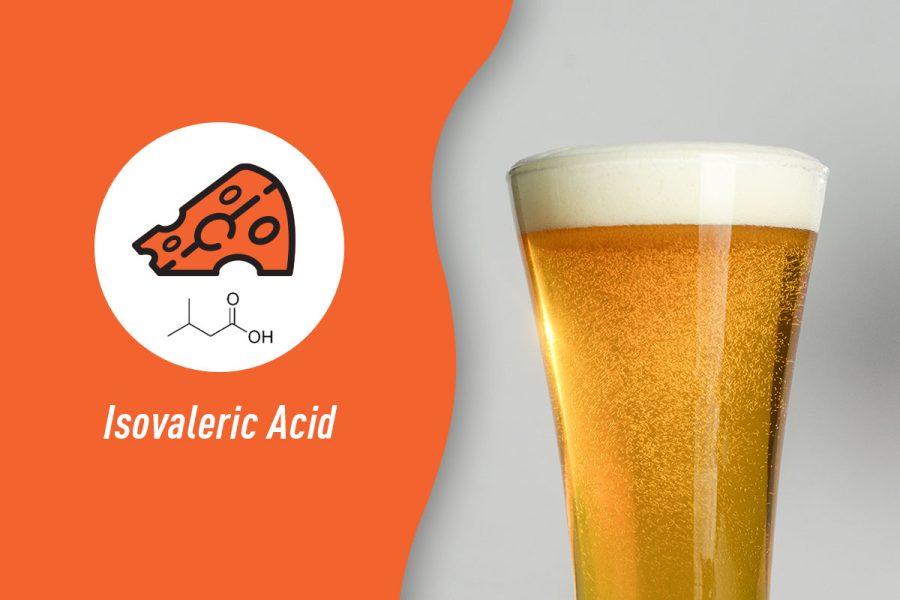 cheese icon with text isovaleric acid and pilsner glass with beer