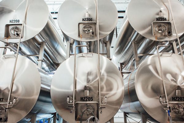 Two rows of brewing equipment