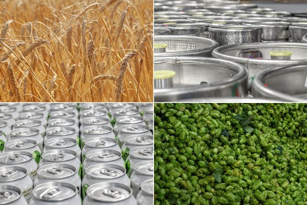 Grid of barley, kegs, cans, and hops