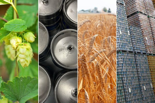 combined image of hops kegs malt and cans