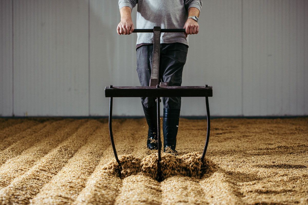 Person pushes a rake through malt covering a floor.