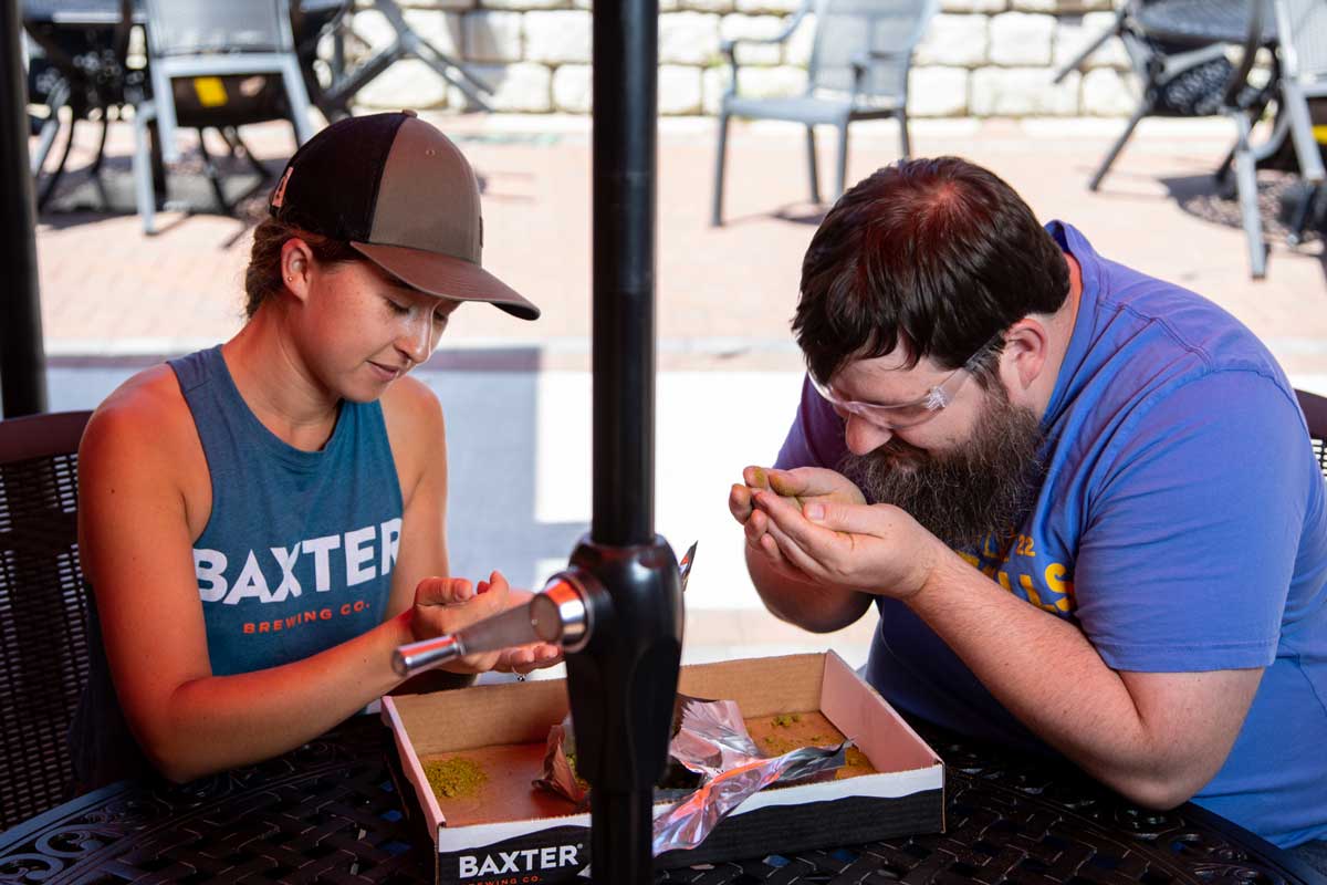 Two brewers evaluating hops