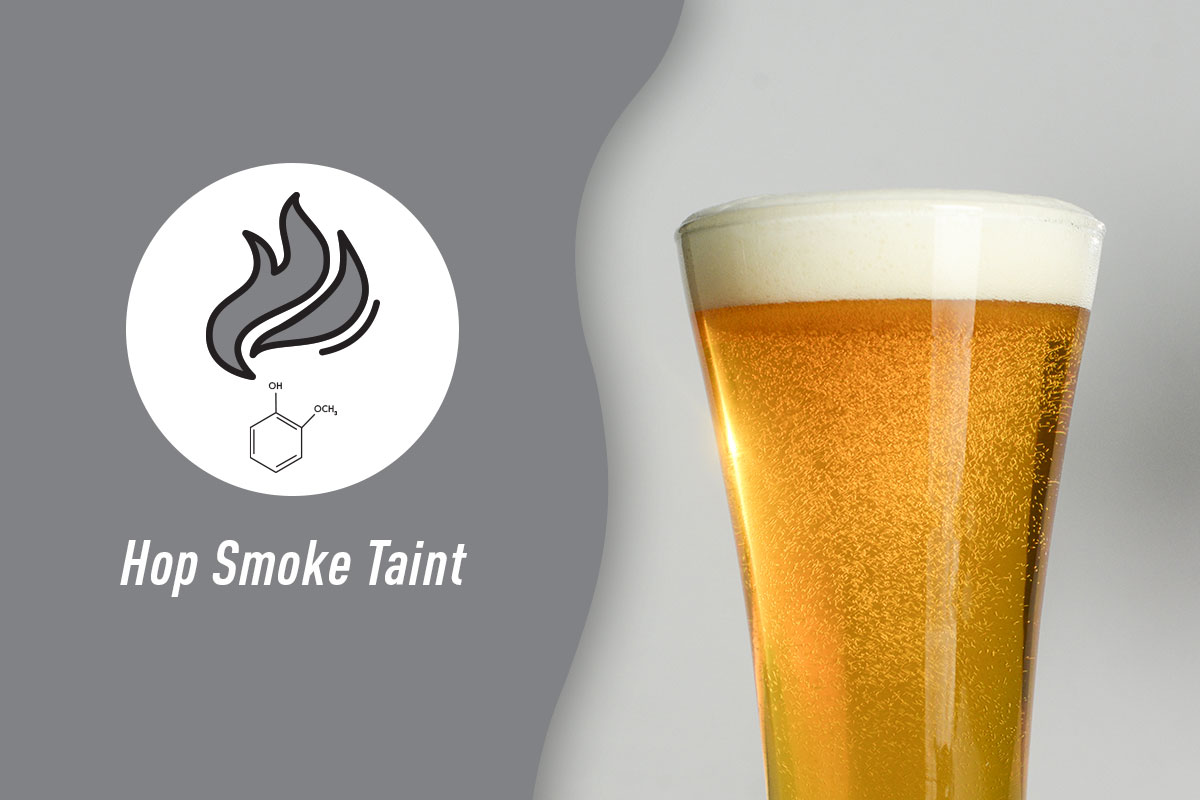 Pilsner glass with beer next to words "Hop Smoke Taint," a chemical compound, and an icon of grey smoke.
