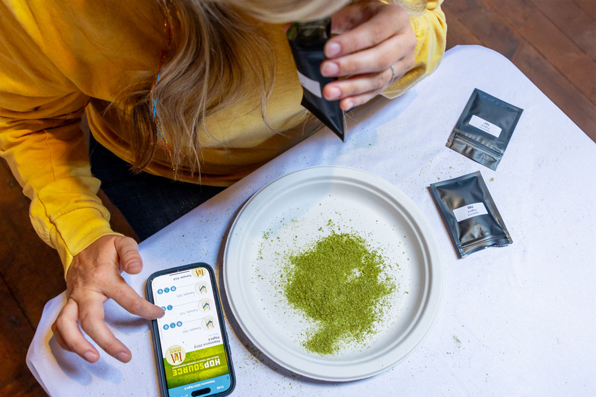 Woman doing hop sensory analysis at Hopsource 2025, an event that supports public hop breeding