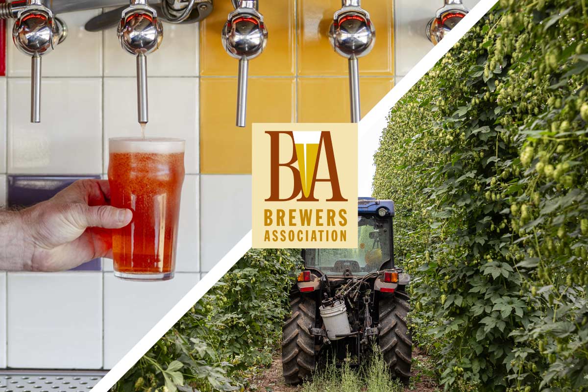 beer poured at a brewery and tractor in a hop field with BA logo