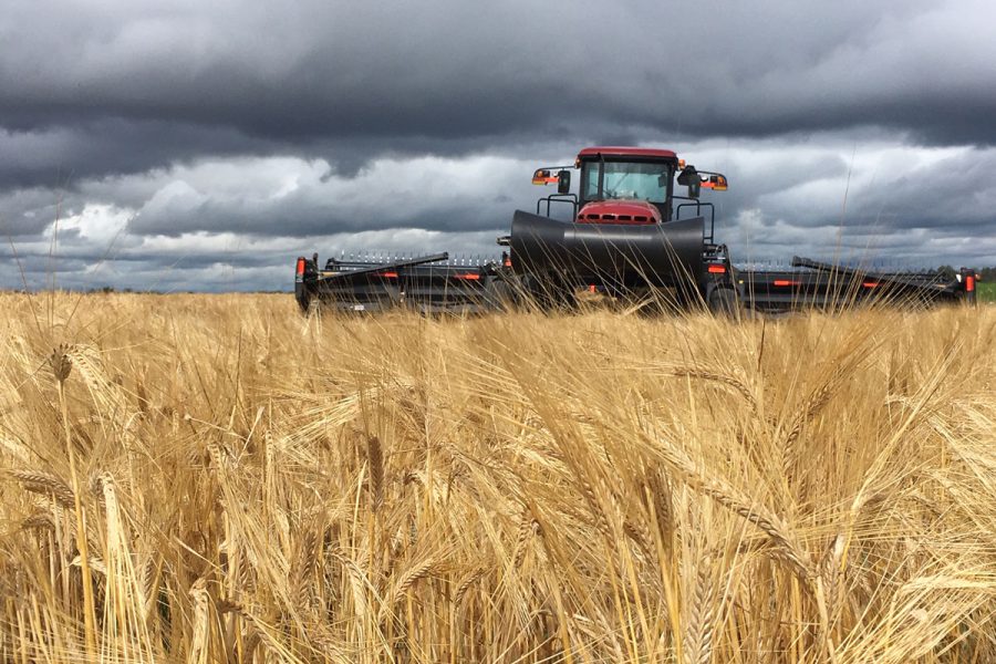 Combine in barley field with moody sky