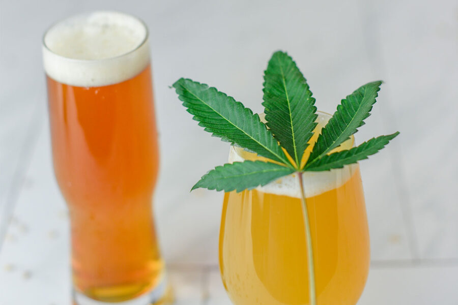 Cannabis leaf with beer in glassware