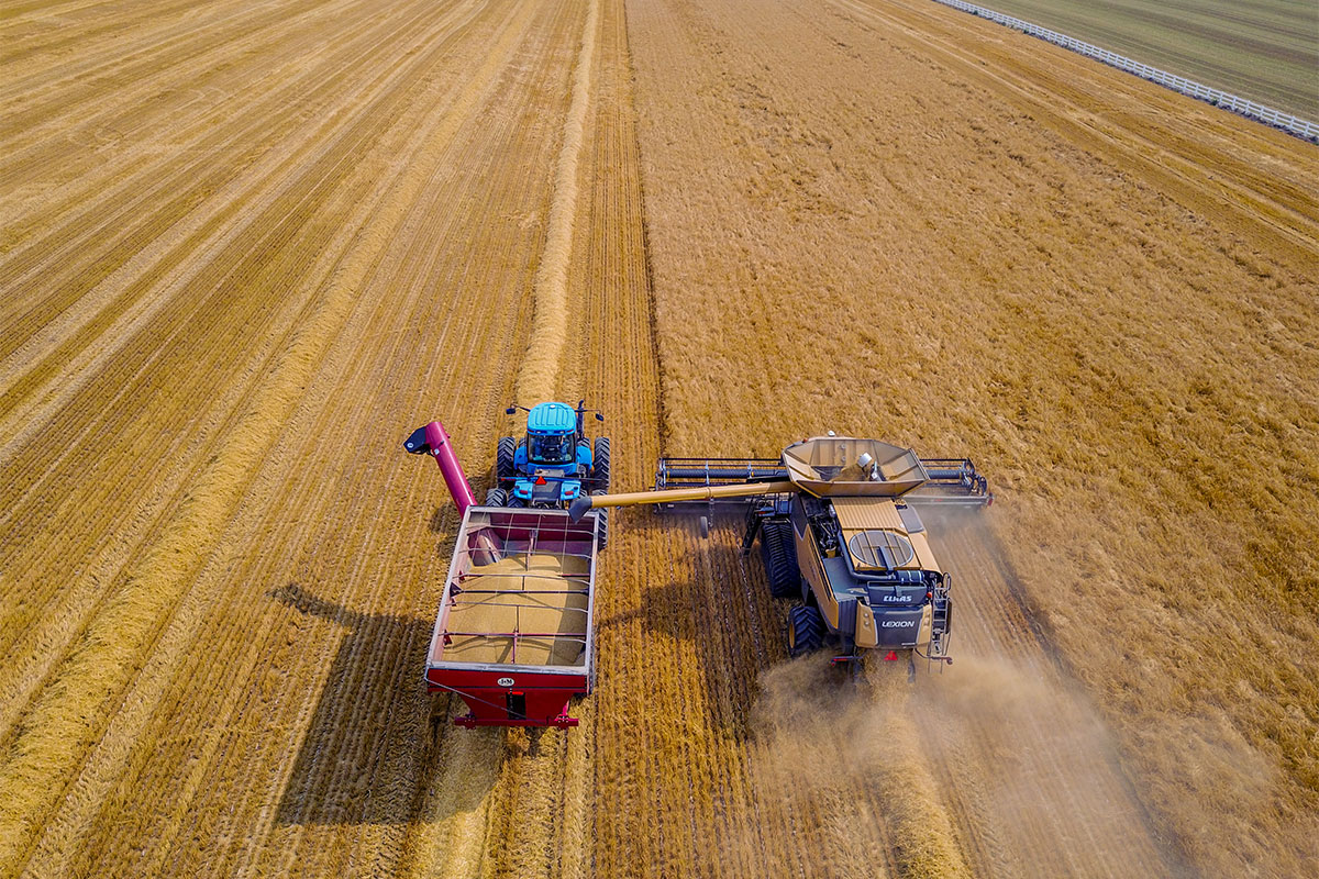 Brewers Association Selective Breeding