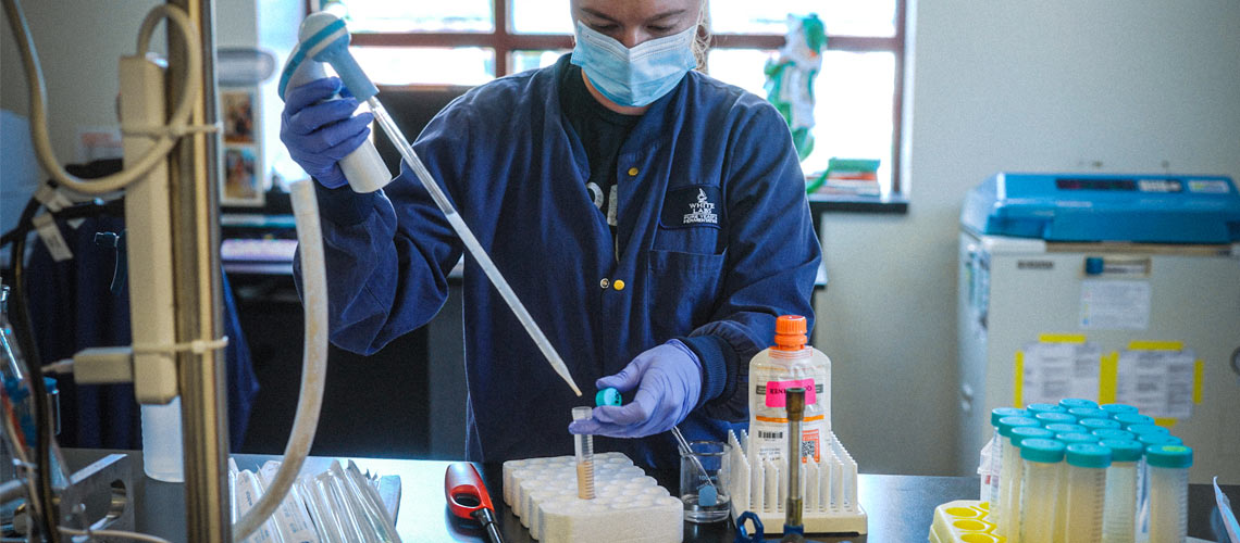Yeast lab