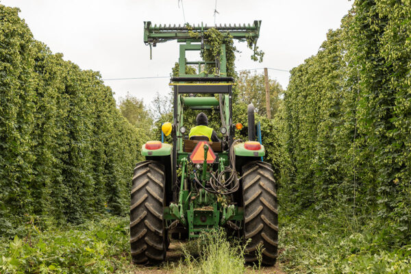 Hop farming