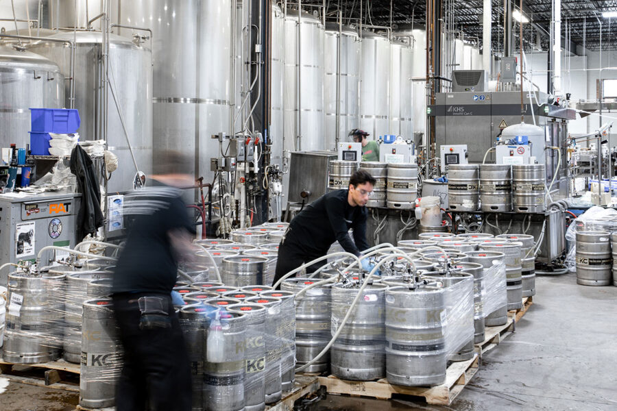 Brewery workers in a brewery