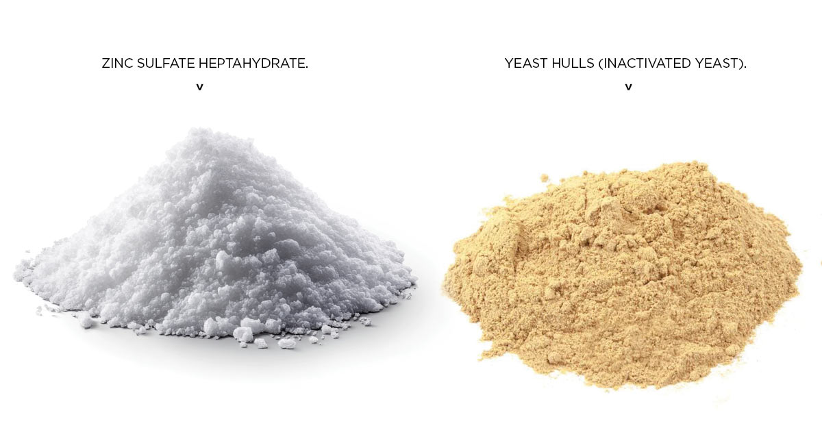Yeast Hulls and Zinc Sulfate Heptahydrate